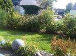 Bl�tenstr�ucherhecke