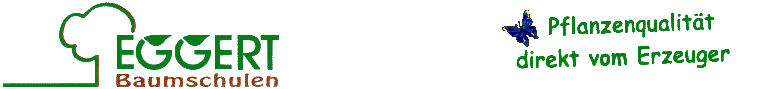 Pflanzenshop