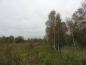 Preview: Betula pubescens im Vaaler Moor