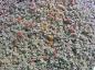 Preview: Stachelnüßchen Kupferteppich als großflächiger Bodendecker