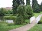 Preview: Cercidiphyllum japonicum Pendulum in einem dänischen Park