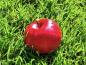 Preview: Rotfruchtiger Apfel Kleiner Roter