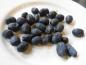 Preview: Früchte der Lonicera caerulea var. kamtschatica Atut