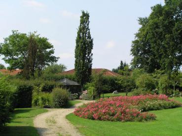 Pyramideneiche im Geographischen Garten, Koldingen