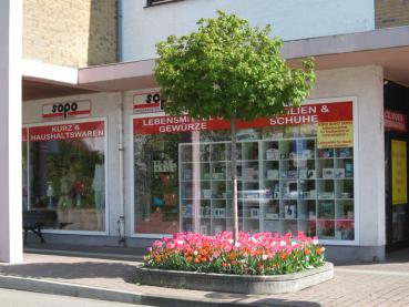 Der Kugelahorn als Straßenbegleitgrün