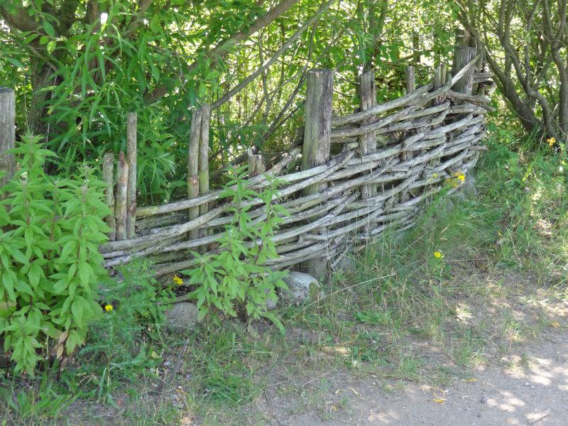 Alter Zaun, aus dicken Weidenruten der Weißweide gebaut