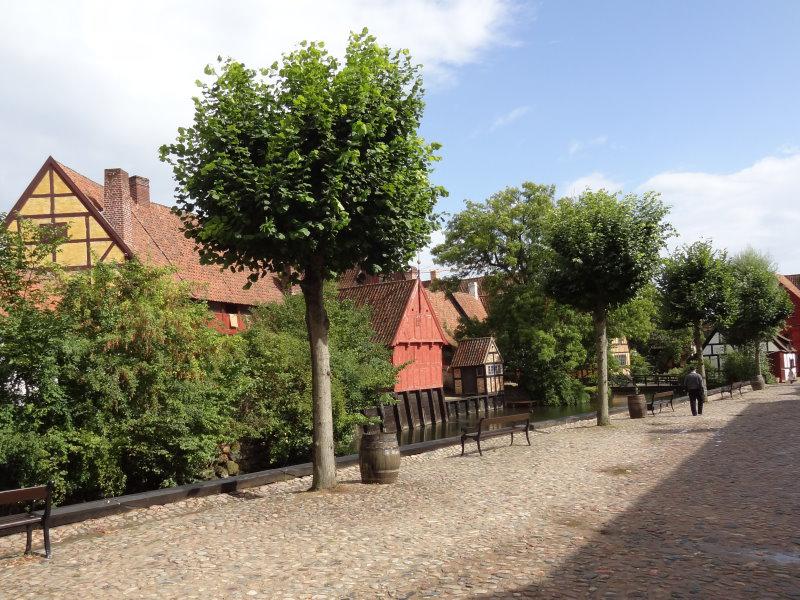 Tilia platyphyllos - Sommerlinde in Verwendung