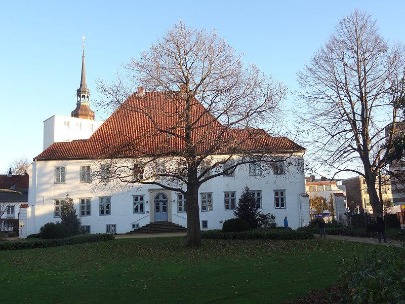 Alter Maronenbaum in Itzehoe