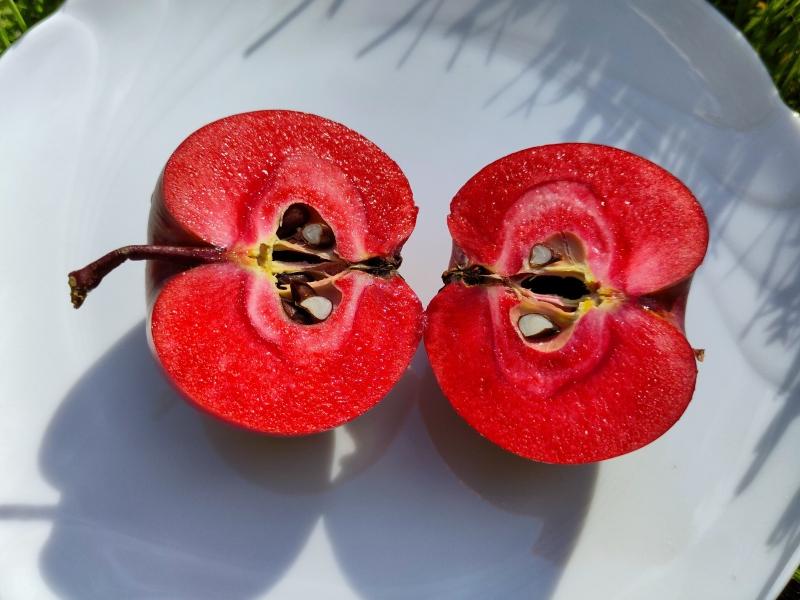 Apfel Kleiner Roter mit leckerem, rotem Fruchtfleisch