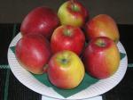 Der leckere Apfel Retina